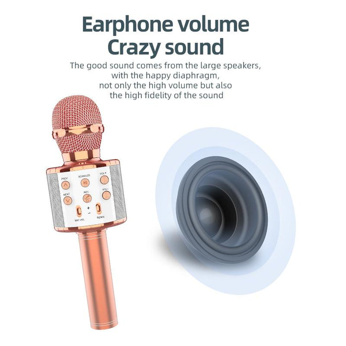 Karaoke-mikrofonen med Bluetooth-tilkobling - Overrask.no
